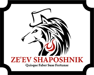 Ze'ev Shaposhnik REALTOR® logo